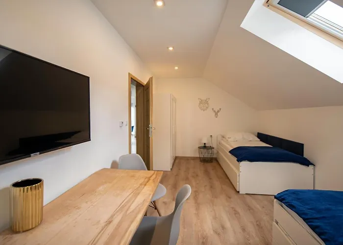 Appartement Na Borach Ii *