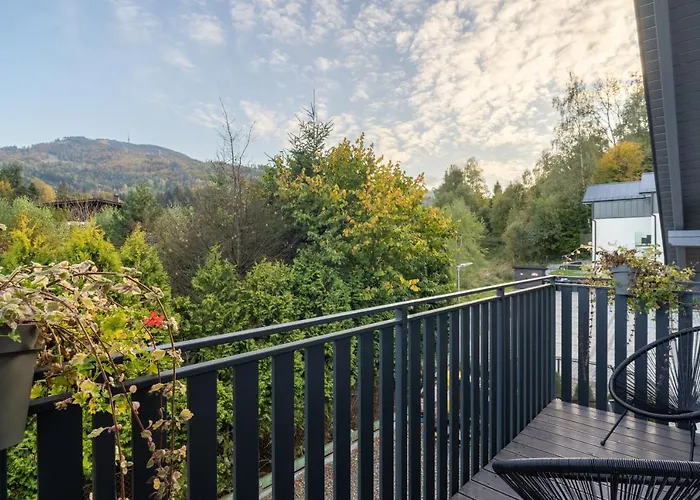 Na Borach Ii Щирк